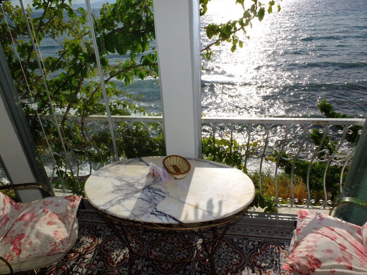 Yilanci Burnu,kusadasi Tatil Evi *
